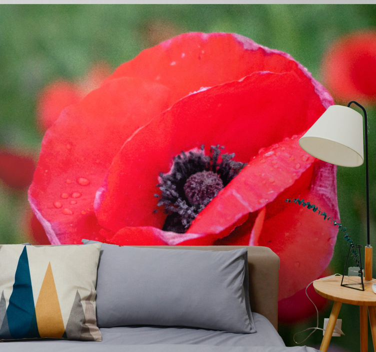 Tapisserie coquelicots fleur de pavot rouge - TenStickers