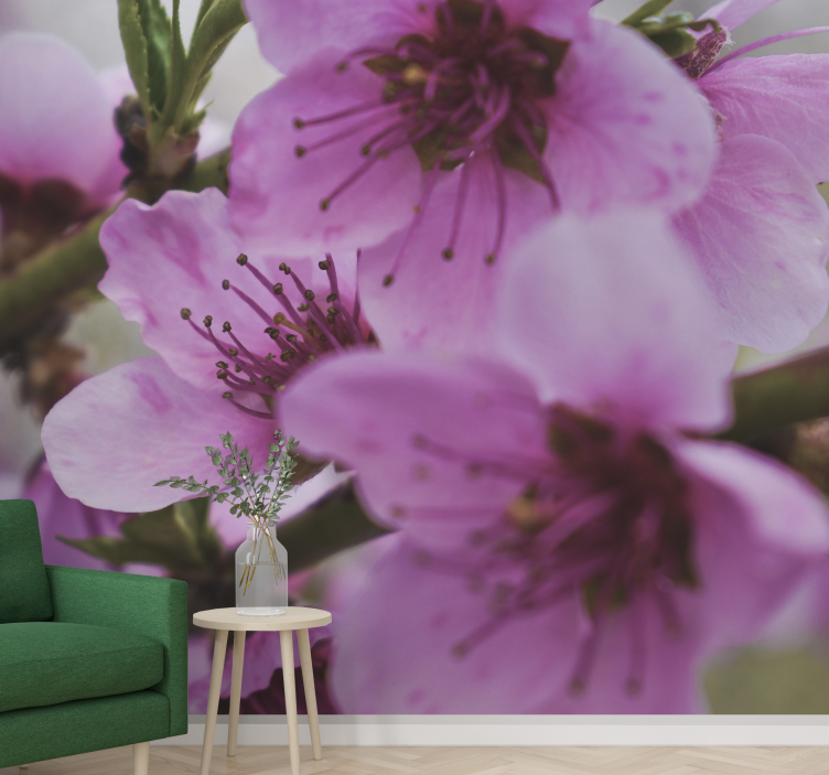 Tapisserie coquelicots fleurs roses rayonnantes - TenStickers