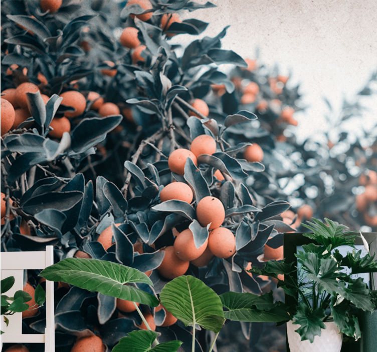 Tapisserie fleur branche de fruits citrus - TenStickers