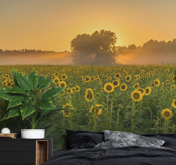 Tapisserie fleur champ de tournesols au coucher du soleil - TenStickers