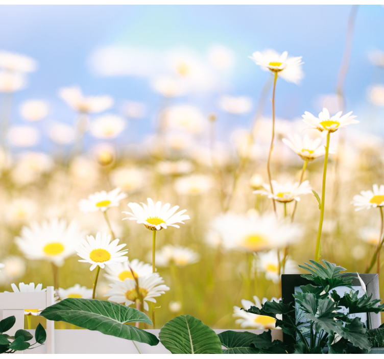 Tapisserie fleur marguerites en fleurs - TenStickers