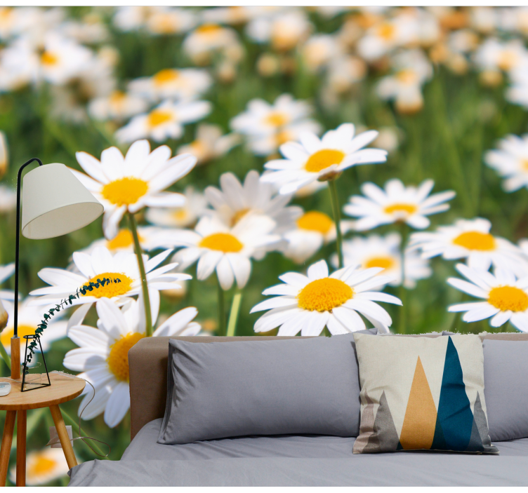 Tapisserie fleur marguerites en pleine floraison - TenStickers