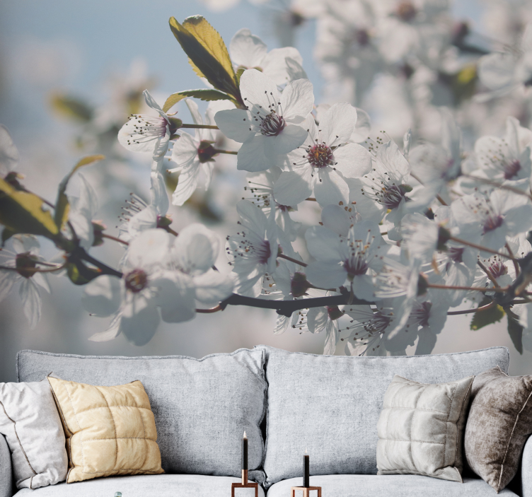Tapisserie fleur branche de fleur de sakura - TenStickers
