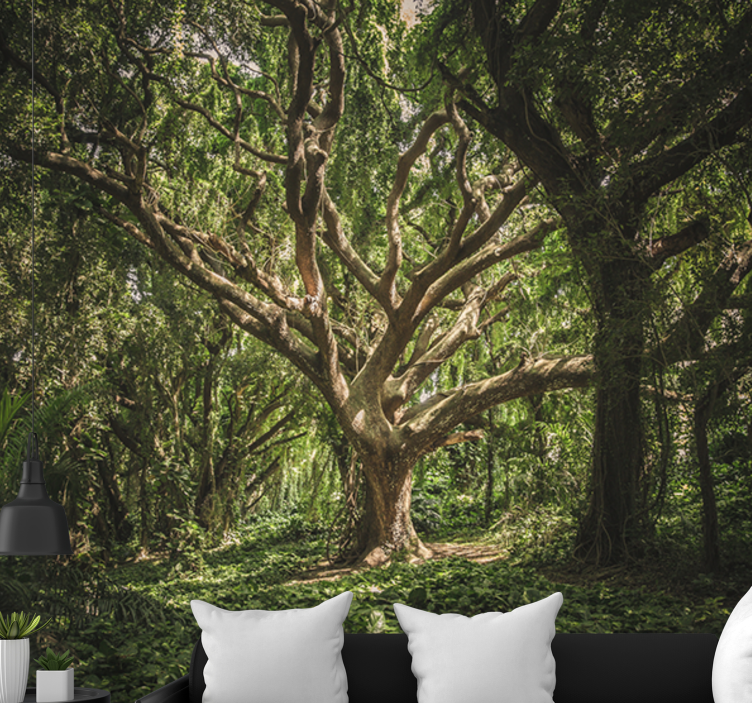 Tapisserie forêt canopée majestueuse - TenStickers