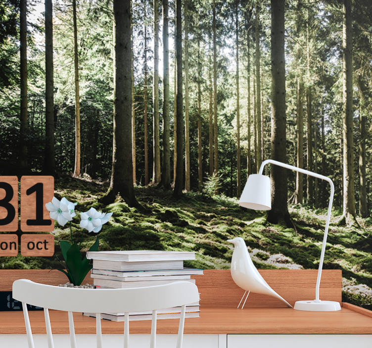 Tapisserie forêt scène de forêt tranquille - TenStickers