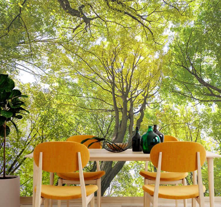 Tapisserie nature canopée de forêt luxuriante - TenStickers