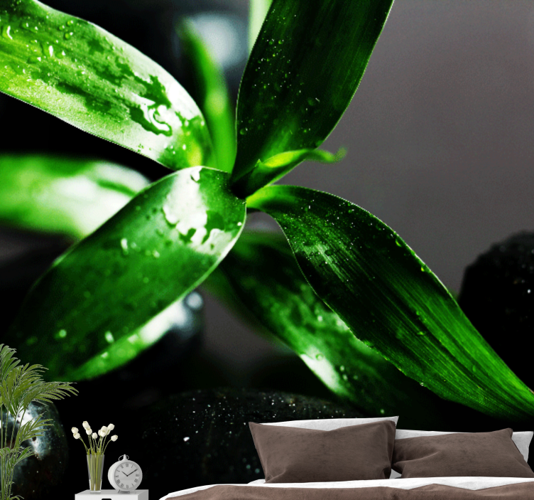 Tapisserie nature texture de feuilles fraîches - TenStickers