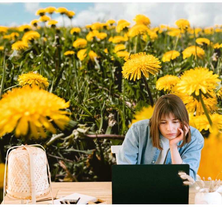Tapisserie pissenlit vue sur un champ de pissenlits - TenStickers