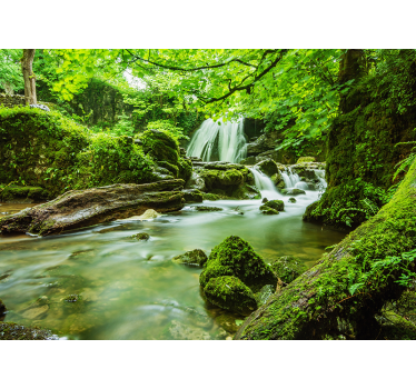 Papier peint cascade cascade dans la jungle - TenStickers