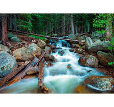 Peinture murale cascade merveille de la nature - TenStickers
