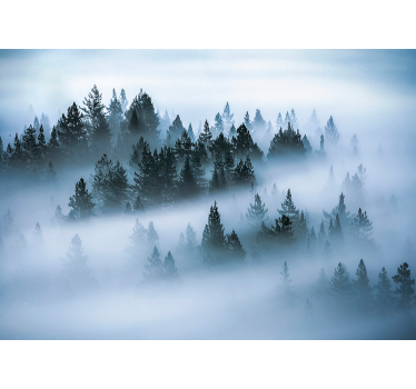 Papier peint salon forêt brume matinale - TenStickers