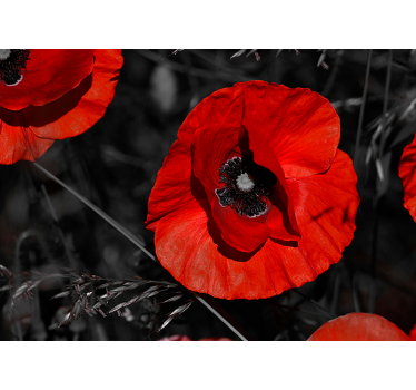 Papier peint photo Fleur rouge  - TenStickers