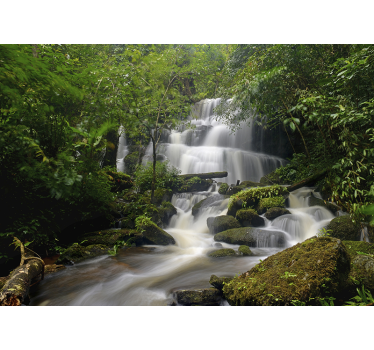 Tapisserie murale forêt et cascade - TenStickers