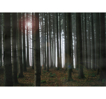 Tapisserie salon scène de forêt brumeuse - TenStickers
