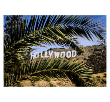 Photo murale Hollywood et feuilles de palmiers - TenStickers