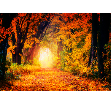 Tapisserie murale paysage chemin forestier d'automne - TenStickers