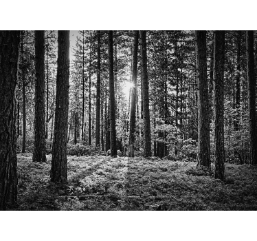 Papier peint salon forêt arbres noir et blanc - TenStickers