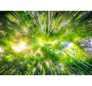 Papier peint forêt paysage jardin oriental - TenStickers