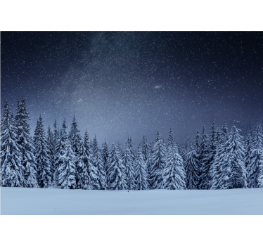 Photo murale arbres Ciel bleu arbres blancs - TenStickers