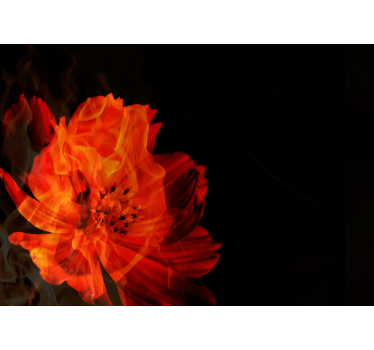 Tapisserie autres fleurs explosion florale ardente - TenStickers