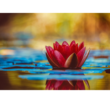 Tapisserie magnolia nénuphar gracieux - TenStickers