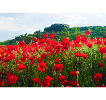 Tapisserie coquelicots champ de coquelicots - TenStickers