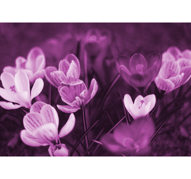 Tapisserie coquelicots fleuraison florale délicate - TenStickers