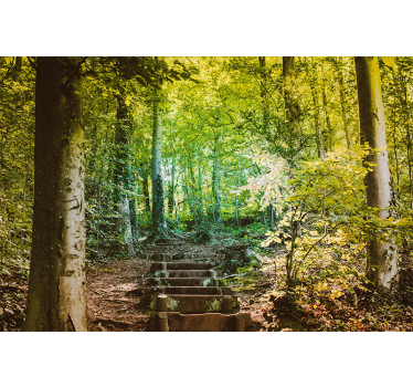Tapisserie murale forêt chemin avec escaliers - TenStickers