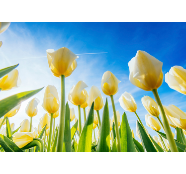 Tapisserie tulipes champ ensoleillé - TenStickers