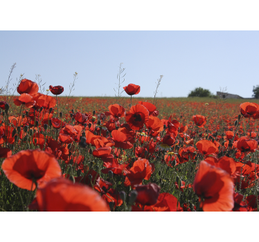 Tapisserie coquelicots champ apaisé - TenStickers