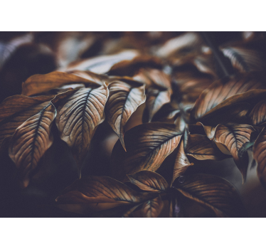 Tapisserie autres fleurs gros plan de feuilles d'automne - TenStickers