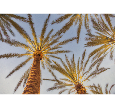 Photo murale Palmiers avec une vue du dessous - TenStickers