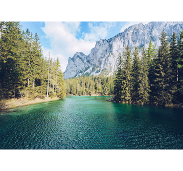 Papier peint montagne hautes et rivière - TenStickers