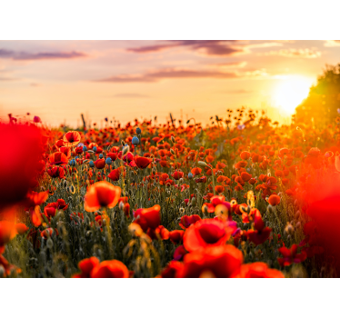 Tapisserie coquelicots champ de coquelicots éclatant - TenStickers