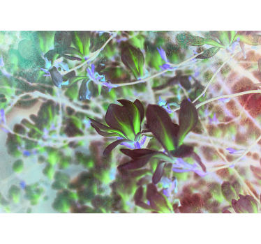 Tapisserie orchidée explosion de fleurs de magnolia - TenStickers