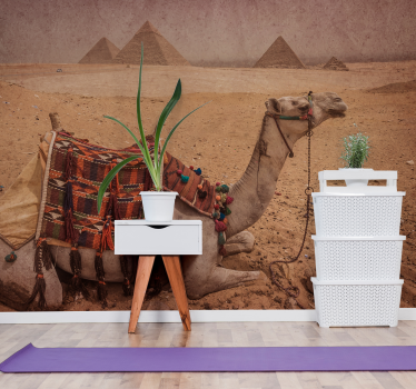 Papier peint mural de desert Chameau dormant devant une pyramide - TenStickers