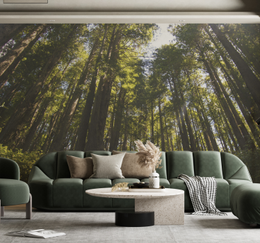 Tapisserie murale forêt grands arbres - TenStickers