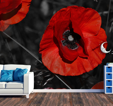 Papier peint photo Fleur rouge  - TenStickers