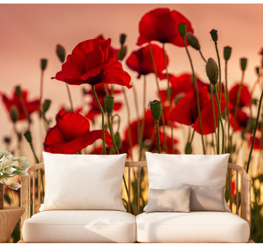 Photo murale coquelicots Coquelicots avec un coucher de soleil - TenStickers