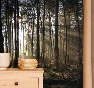 Photo murale nature Lever de soleil dans la forêt - TenStickers
