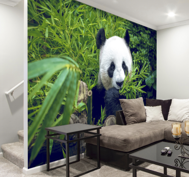 Photo murale Panda et bambou - TenStickers