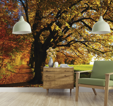 Tapisserie arbre chemin forestier d'automne - TenStickers