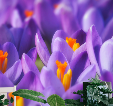 Tapisserie autres fleurs fleurs de crocus violet - TenStickers