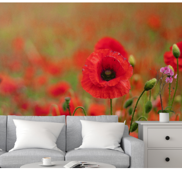 Tapisserie coquelicots fleurs de pavot vivantes - TenStickers
