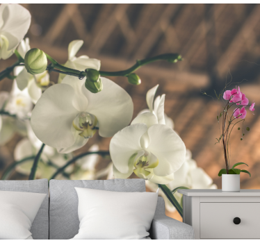 Tapisserie orchidée fleurs d'orchidées élégantes - TenStickers