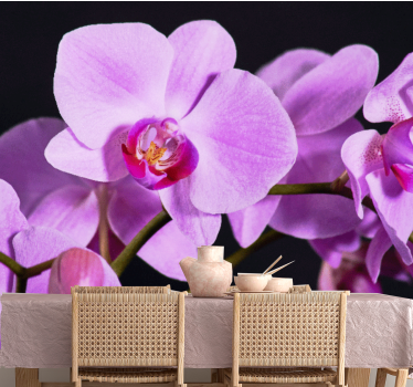 Tapisserie orchidée fleurs d'orchidées gracieuses - TenStickers