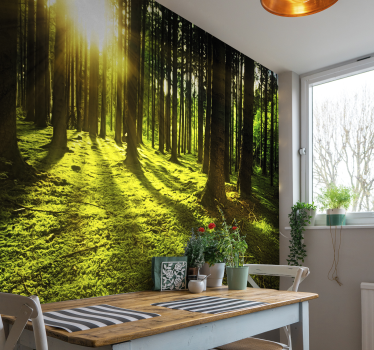 Tapisserie panoramique foret forêt ensoleillée - TenStickers