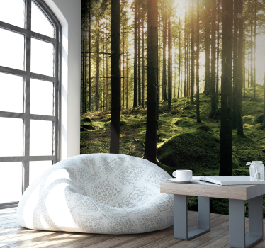 Tapisserie salon forêt ensoleillée - TenStickers