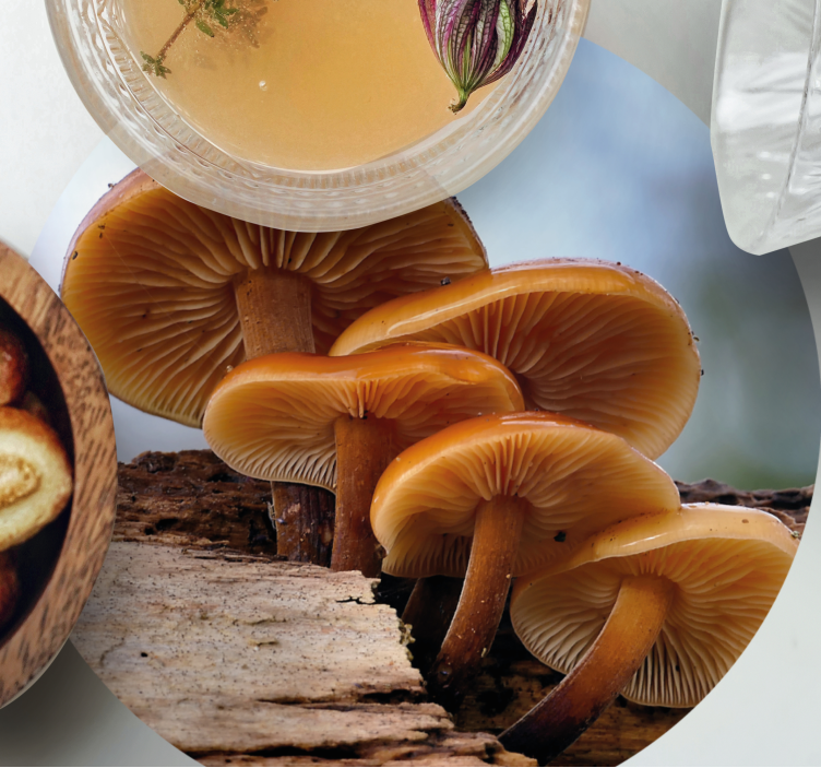 Dessous de verre moderne arrangement de champignons - TenStickers