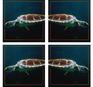 Dessous de verre moderne image de tortue de mer élégante - TenStickers